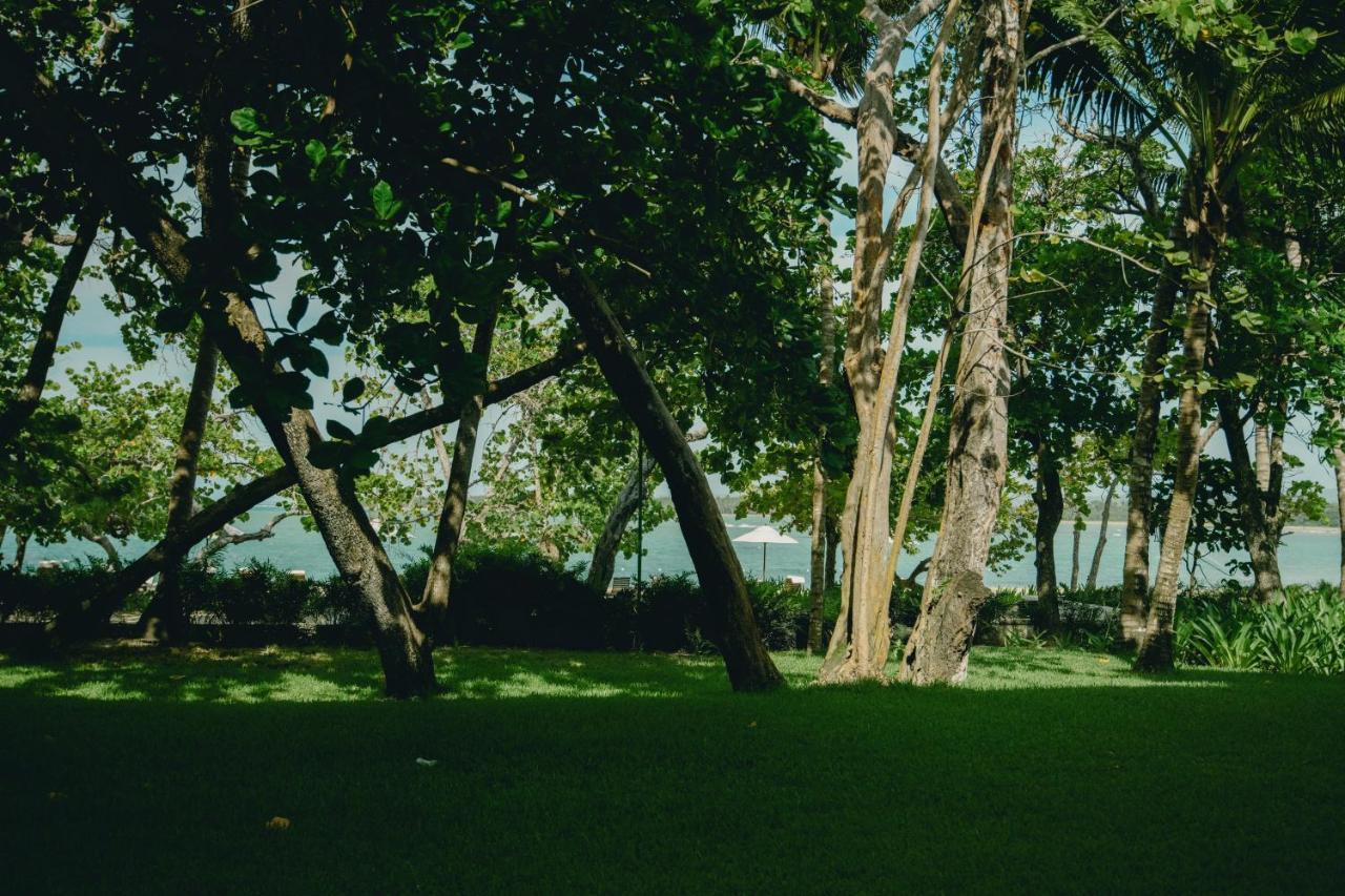 Casa Colonial Beach & Spa بويرتو بلاتا المظهر الخارجي الصورة
