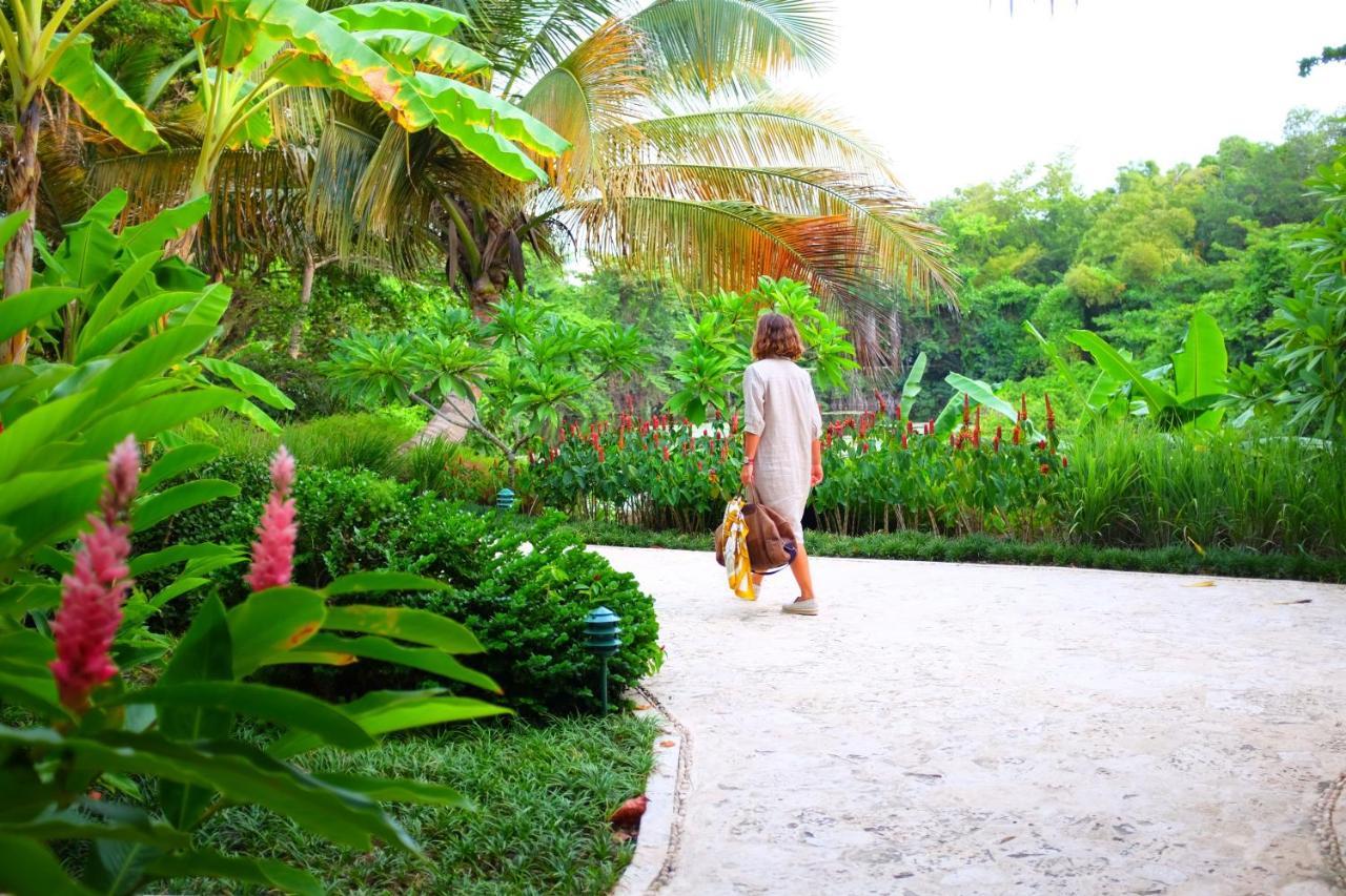 Casa Colonial Beach & Spa بويرتو بلاتا المظهر الخارجي الصورة